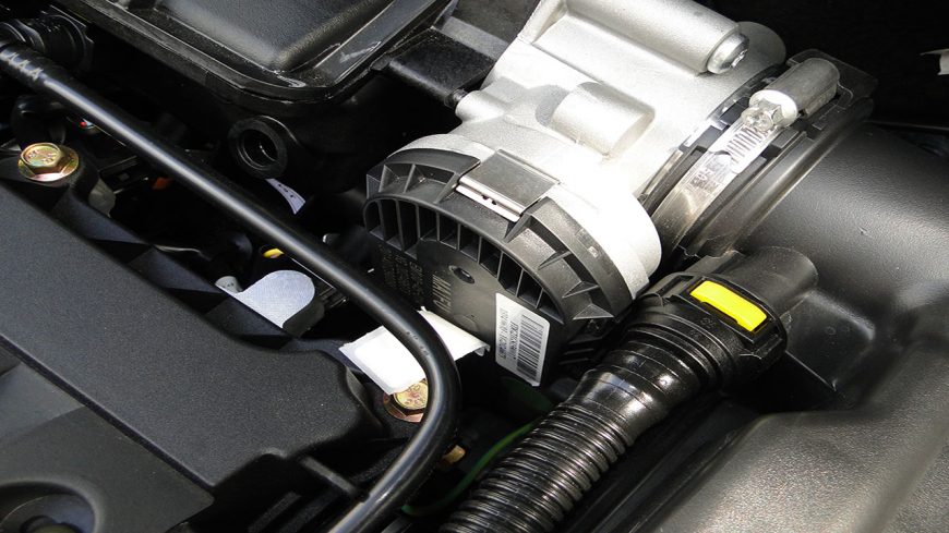 سالم ماندن استپر